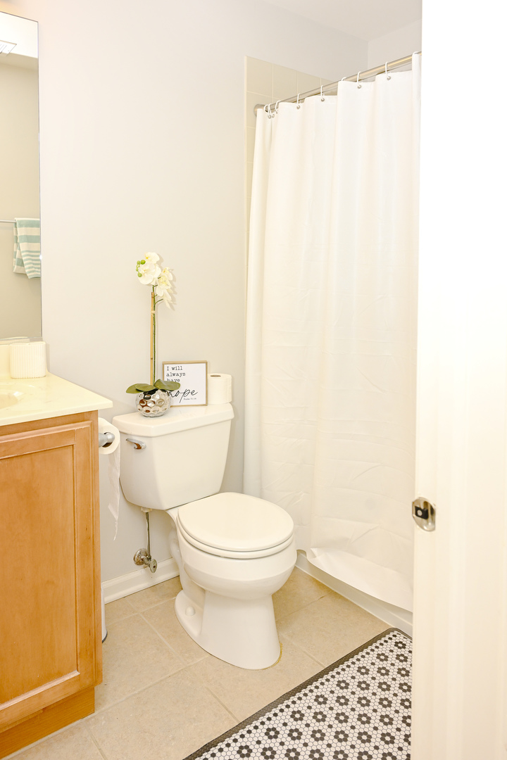 219 River Front Drive Mount Prospect, IL 60056 - Photo 12 of 15