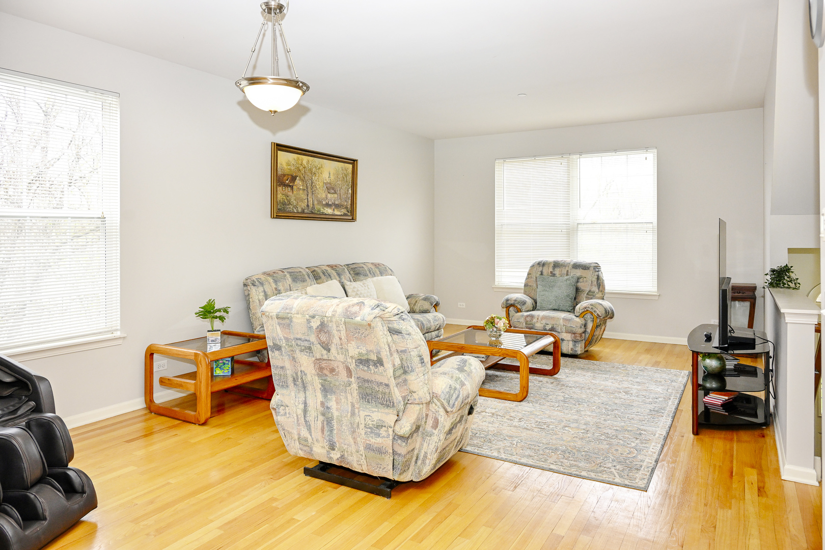 219 River Front Drive Mount Prospect, IL 60056 - Photo 6 of 15