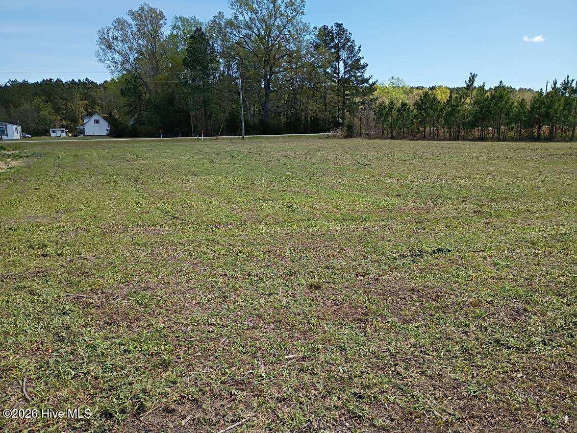 0 Chinquapin Chapel Road Trenton, NC 28585 - Photo 2 of 9 image000000 (1)