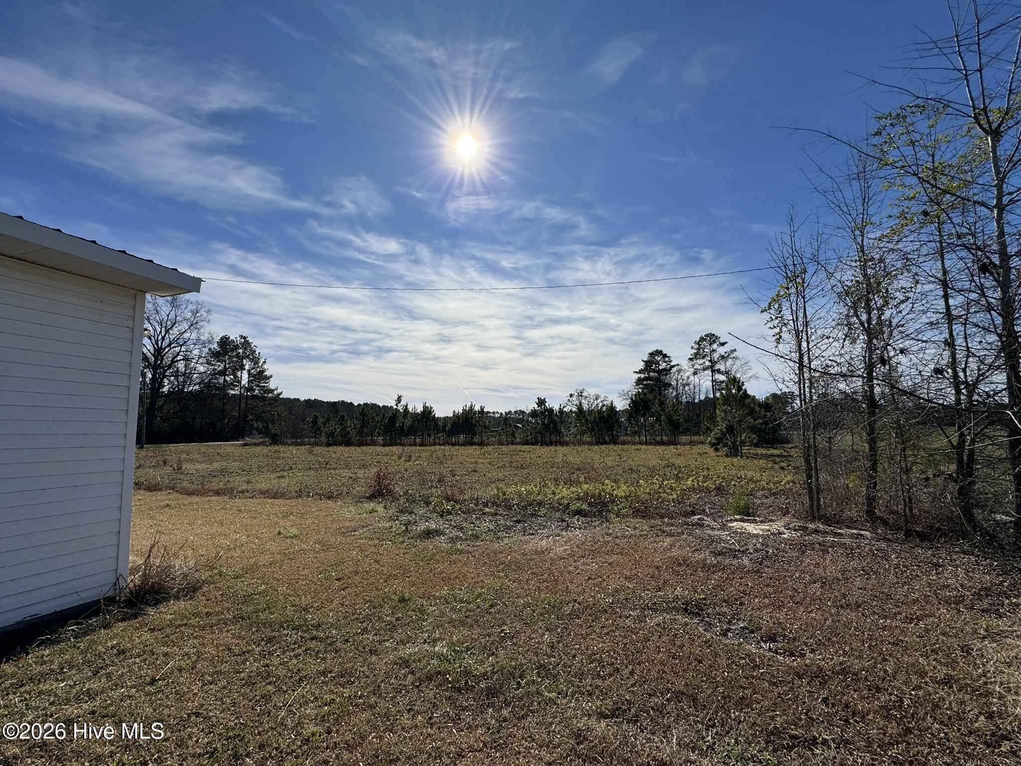 0 Chinquapin Chapel Road Trenton, NC 28585 - Photo 3 of 6 IMG_6239