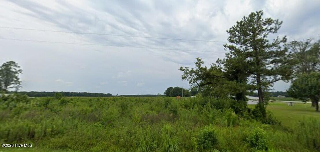 0 Chinquapin Chapel Road Trenton, NC 28585 - Photo 6 of 6 Chinquapin Chapel lot street view