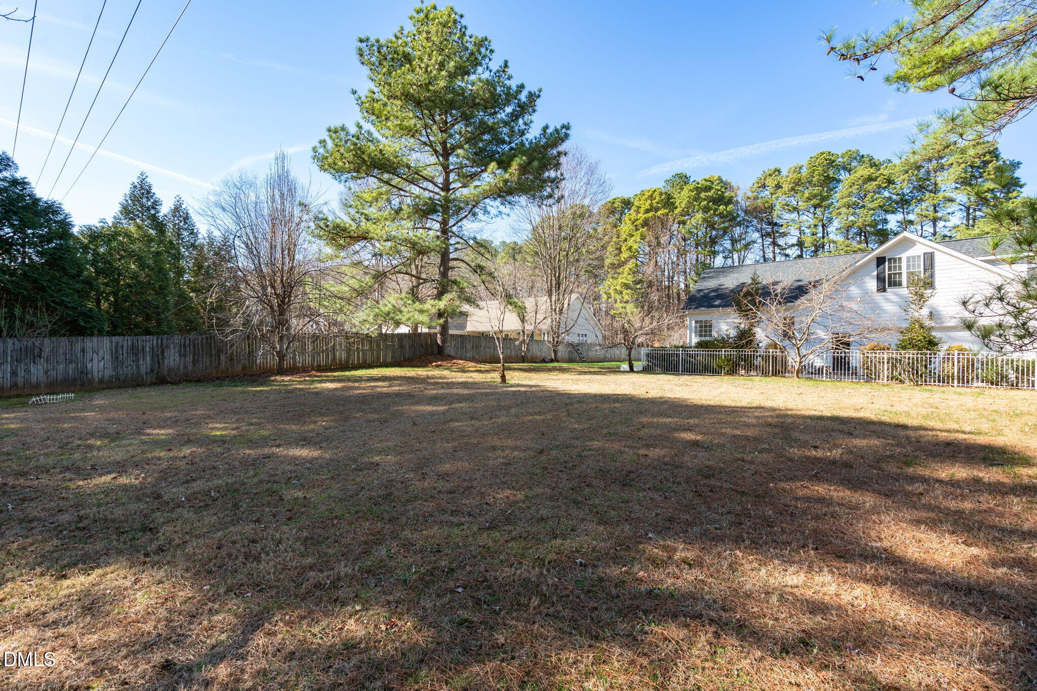 7605 Double E Court Raleigh, NC 27613 - Photo 46 of 49 a view of large yard with large trees