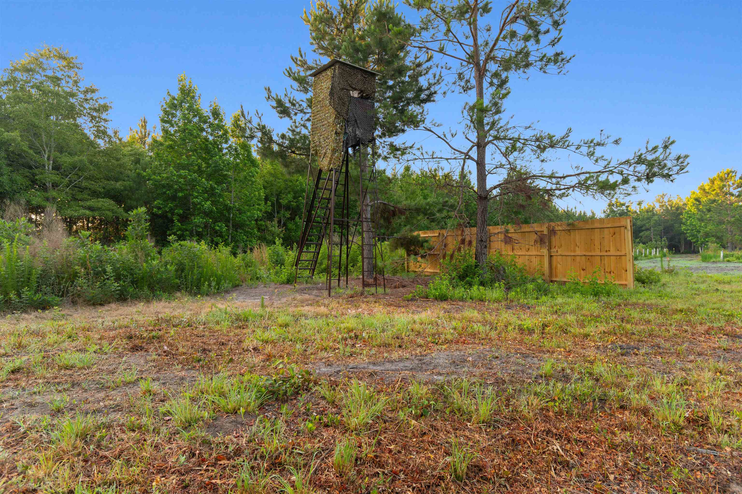 77-acres - Tbd Bert Hanna Road Hemingway, SC 29554 - Photo 6 of 28
