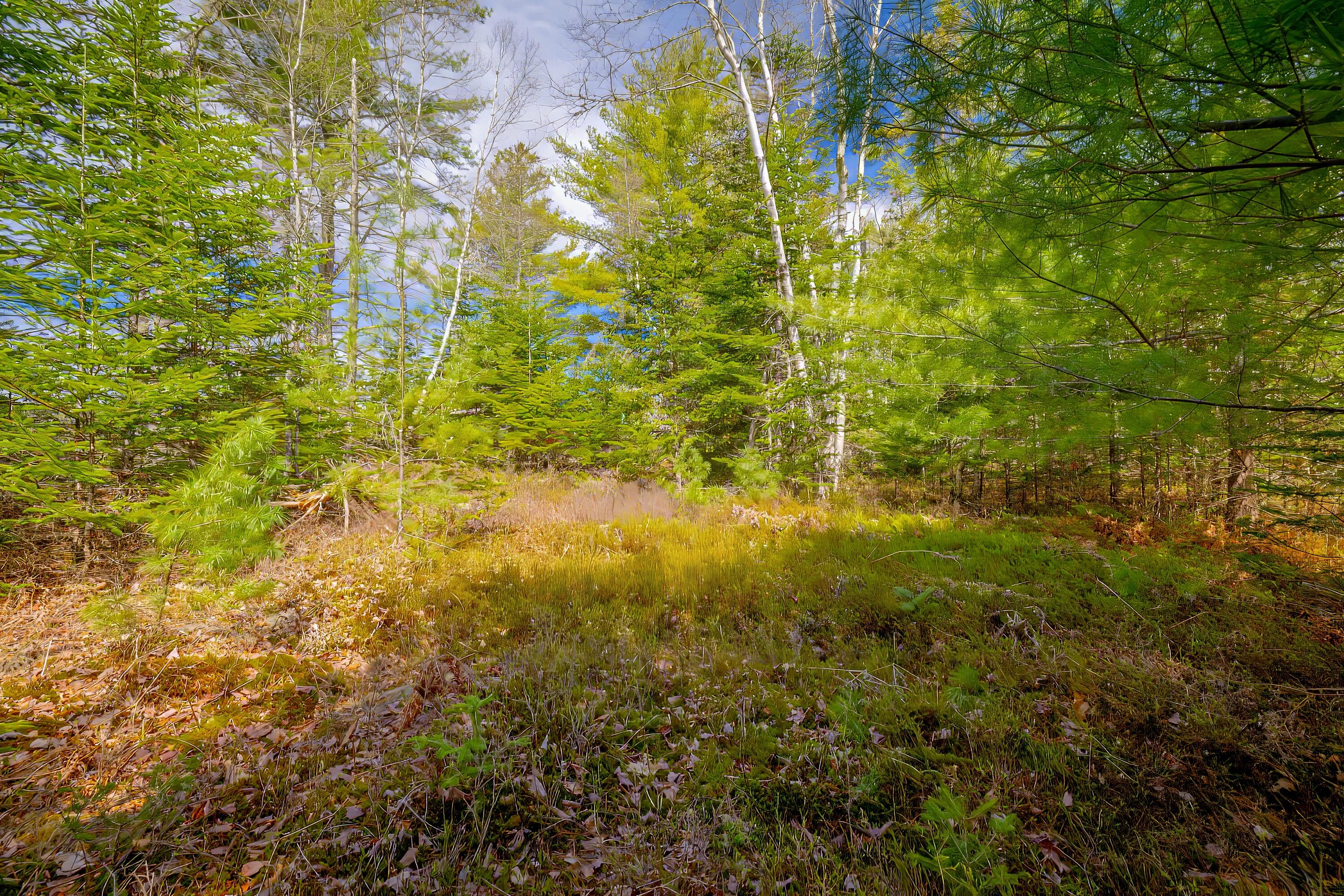 Lot 9 Bluff Road Bar Harbor, ME 04609 - Photo 19 of 33 Copy of 47-Lot 9, Bluff Road-DTP