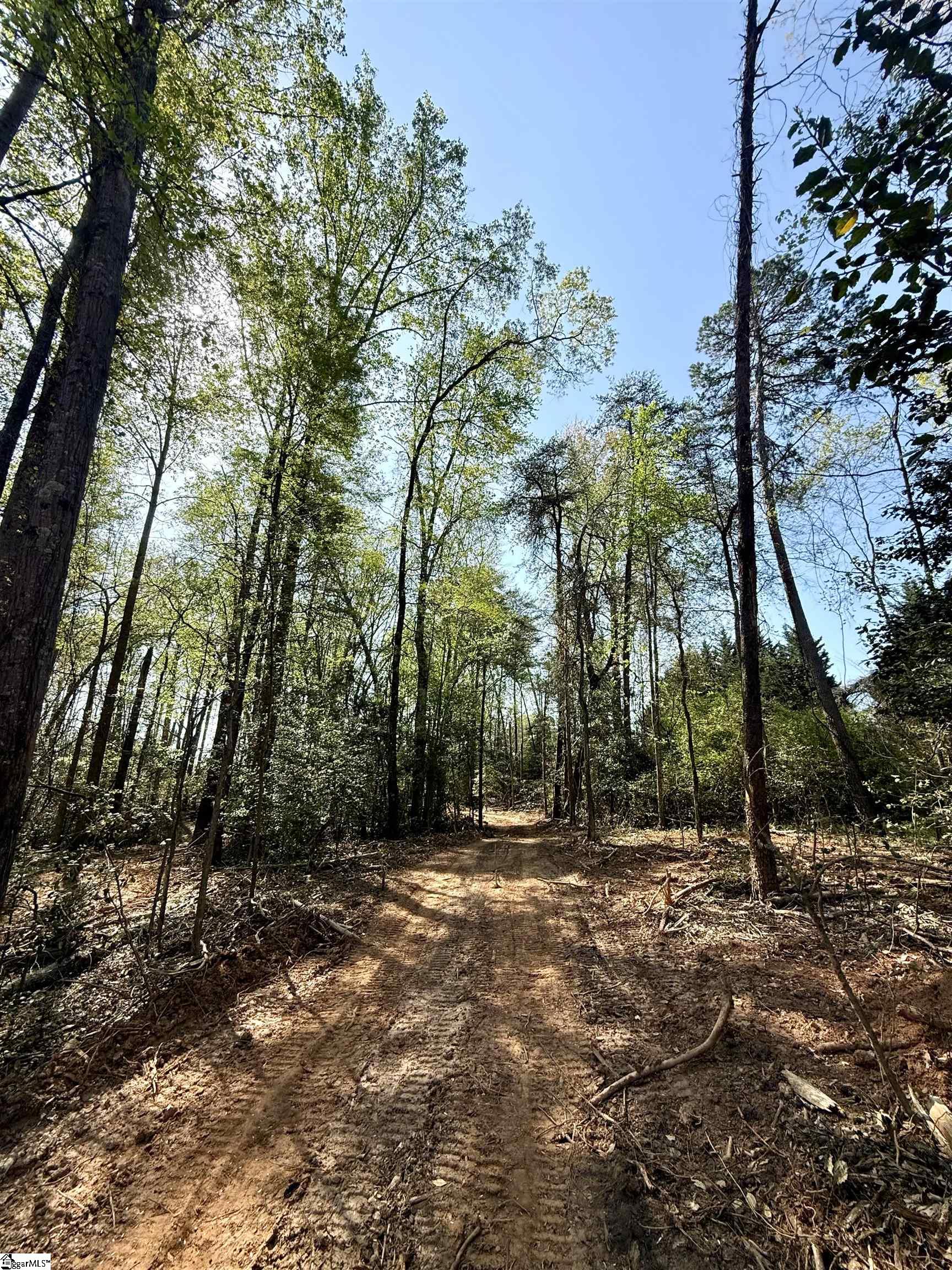 0 Thompson Road Greer, SC 29651 - Photo 25 of 31