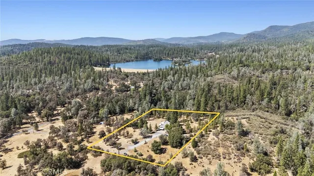 a view of a forest with a mountain