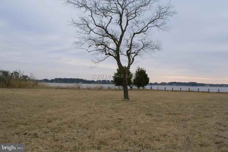 2487 Clara Road Tyaskin, MD 21865 - Photo 3 of 6