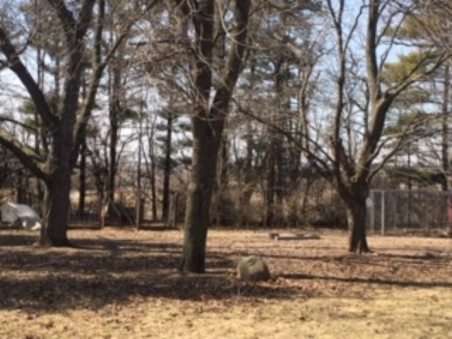 17031 West State Road Pecatonica, IL 61063 - Photo 25 of 29 Gallery Image 25