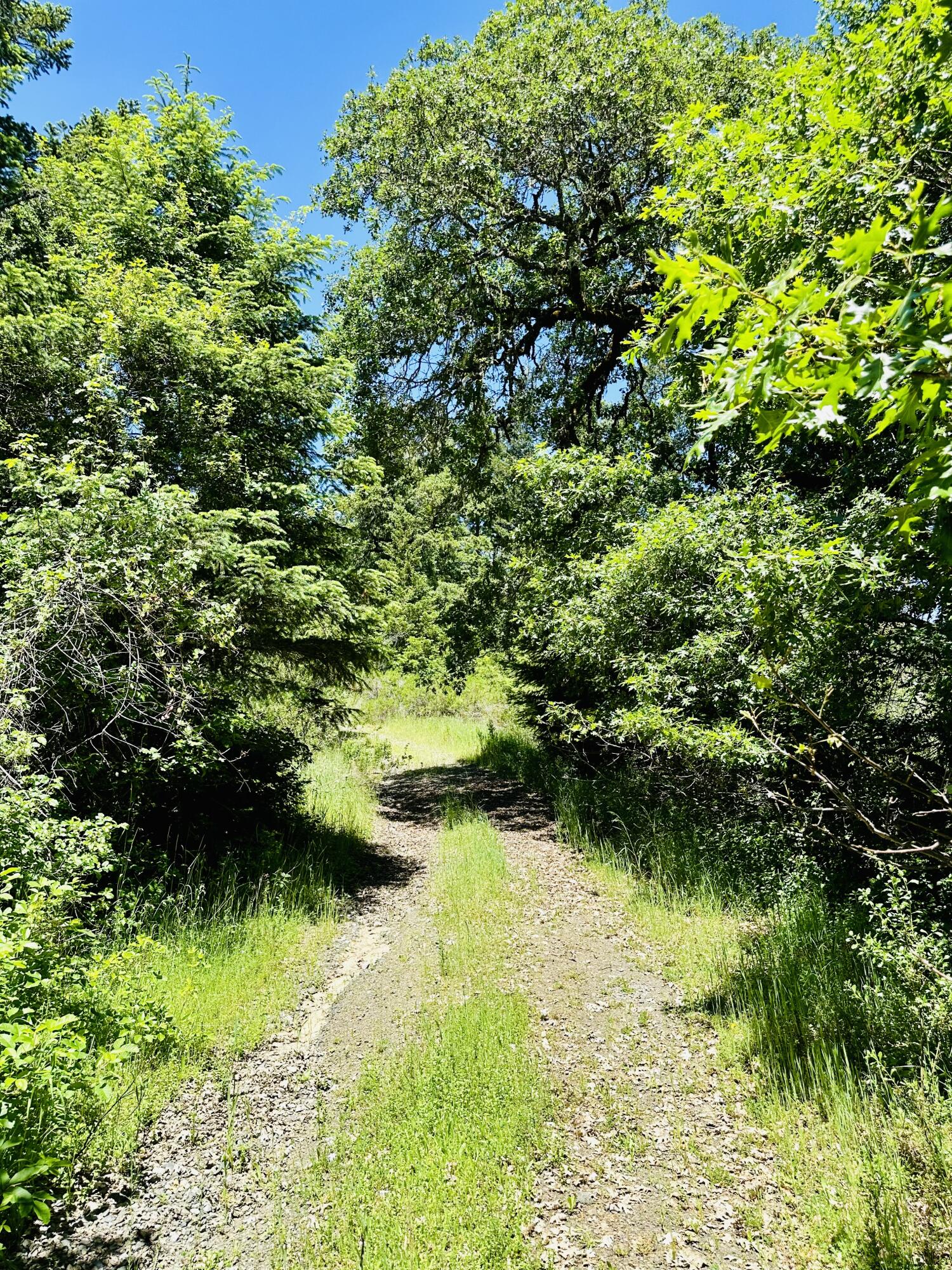 400 Seely Creek Road Redway, CA 95560 - Photo 12 of 73