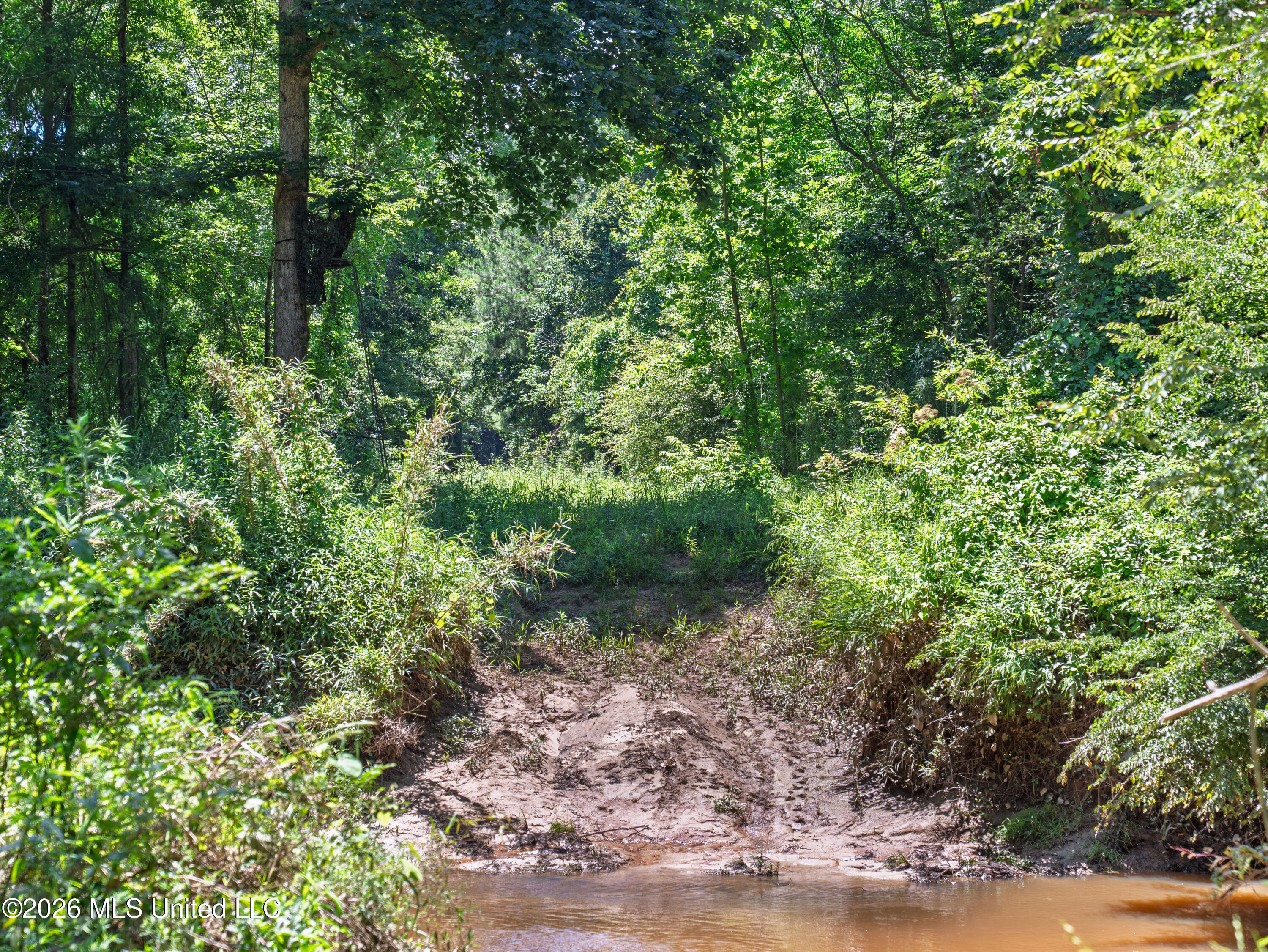23 Co Road Bay Springs, MS 39422 - Photo 19 of 64 A7403756