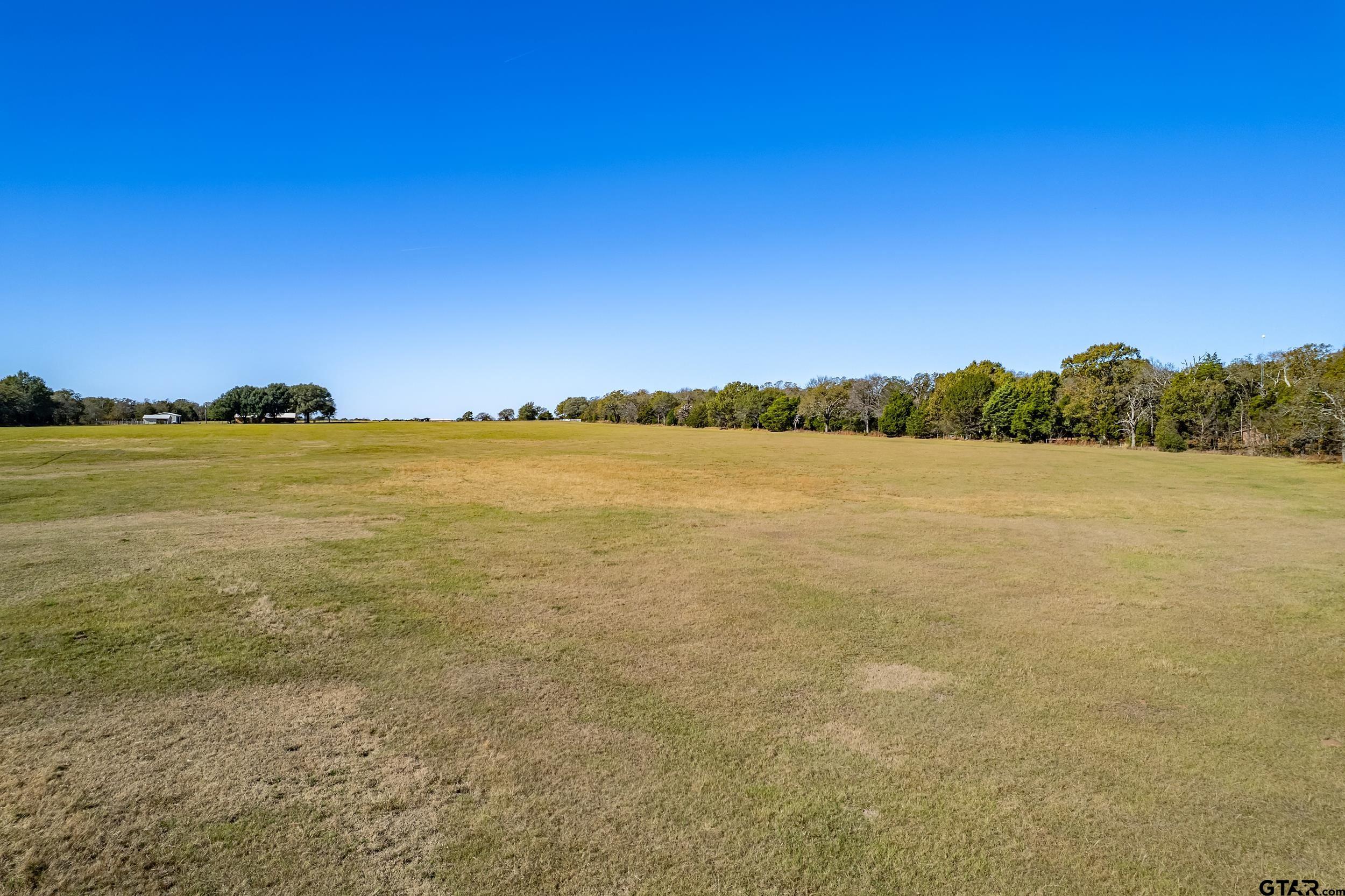 1504 Wills Point Wills Point, TX 75169 - Photo 6 of 17