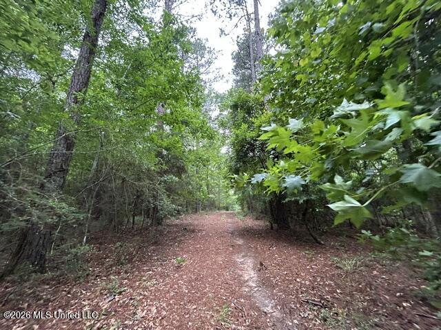 301 Freeman Road Southwest Summit, MS 39666 - Photo 11 of 43 IMG_4592