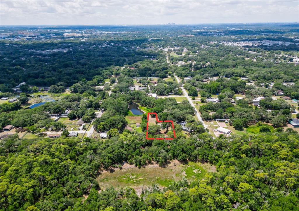 1819 Sinclair Hills Road Lutz, FL 33549 - Photo 10 of 60