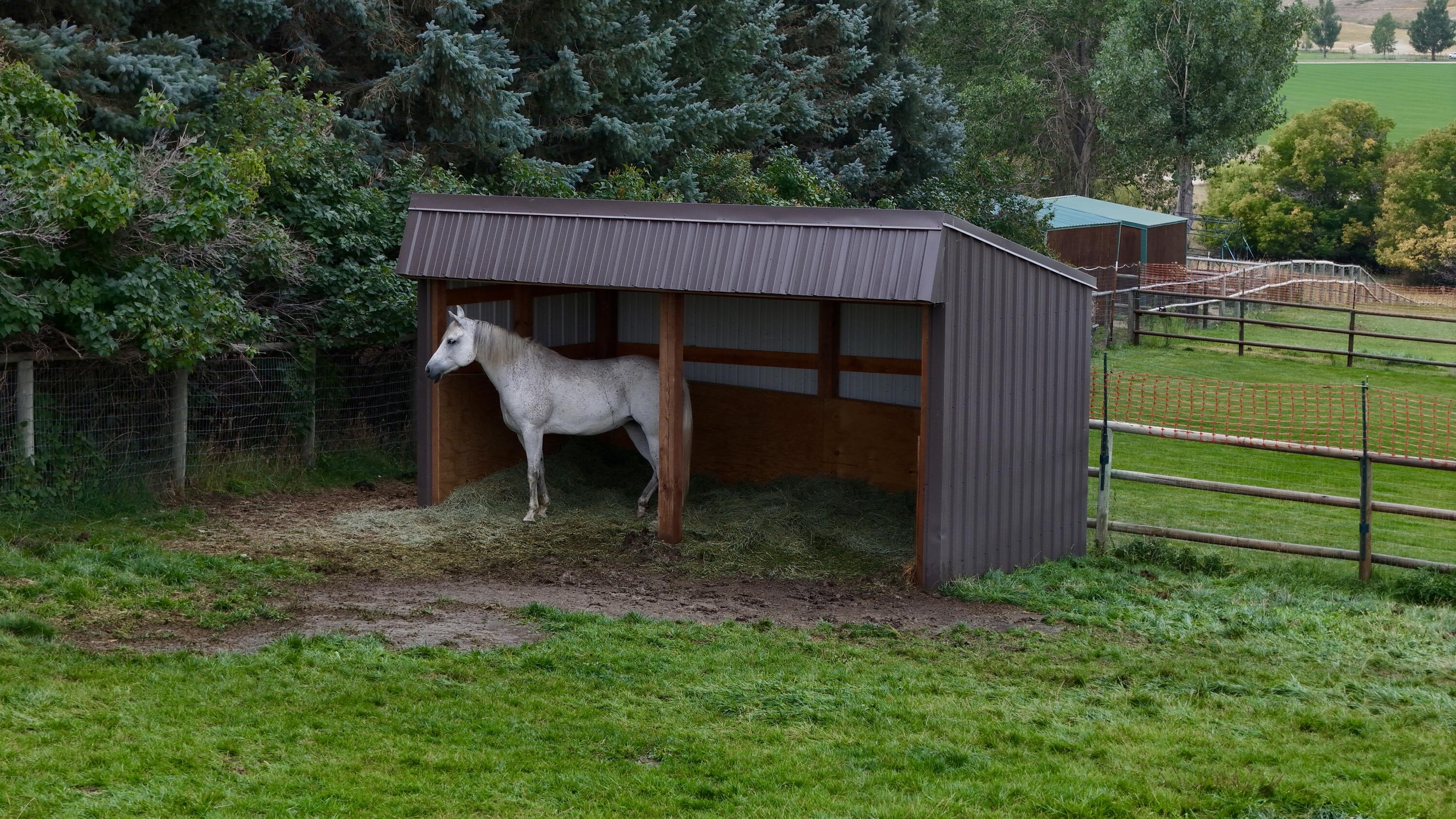 354 Bird Farm Road Sheridan, WY 82801 - Photo 15 of 61 4