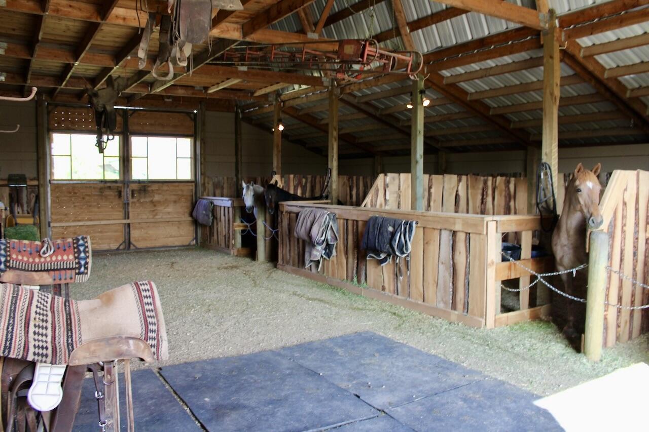 354 Bird Farm Road Sheridan, WY 82801 - Photo 60 of 61 Horses' home