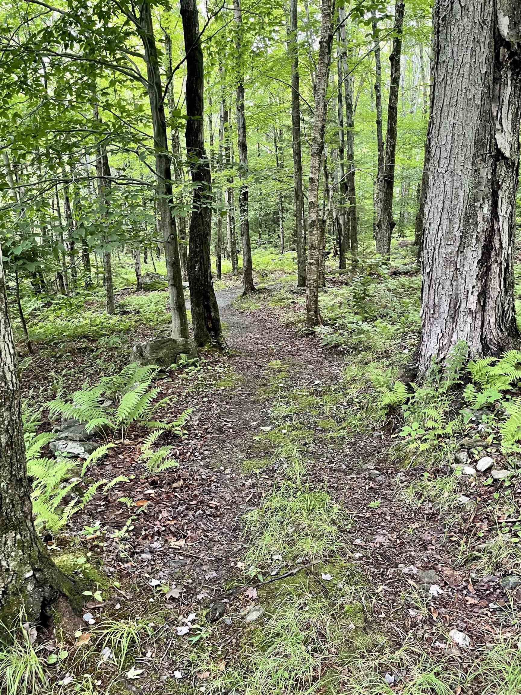 3062 West Hill Road Montgomery, VT 05471 - Photo 4 of 27 Gallery Image 4