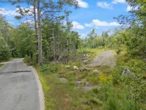 $65,000 | Lot 2 Map 49 Road, West Newfield, ME 04095