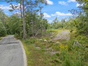 Lot 2 Map 49 Road West Newfield, ME 04095 - Photo 1 of 10 Sanborn Road
