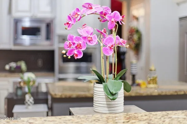 $17,500 | 3452 East Jaeger Circle, Mesa, AZ 85213