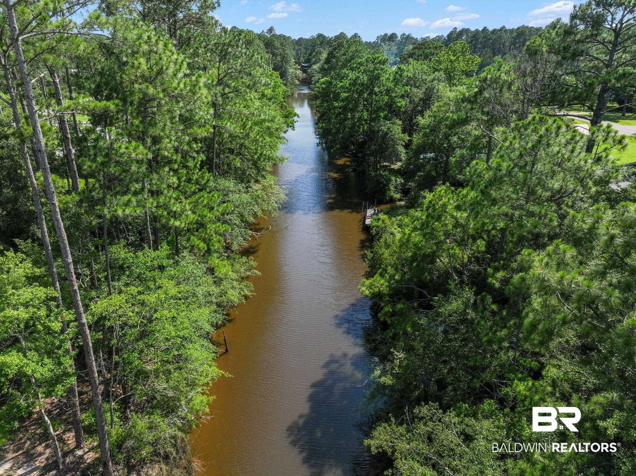 0 Delta Port Boulevard Coden, AL 36523 - Photo 9 of 16