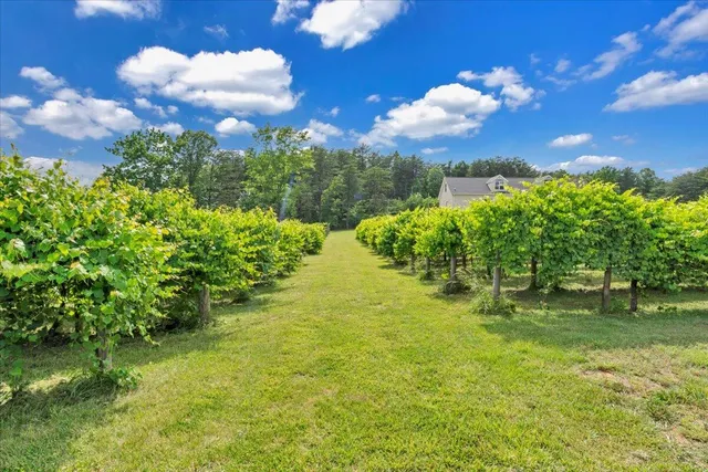 $1,075,000 | 60 Tara Drive, Ridgeway, VA 24148