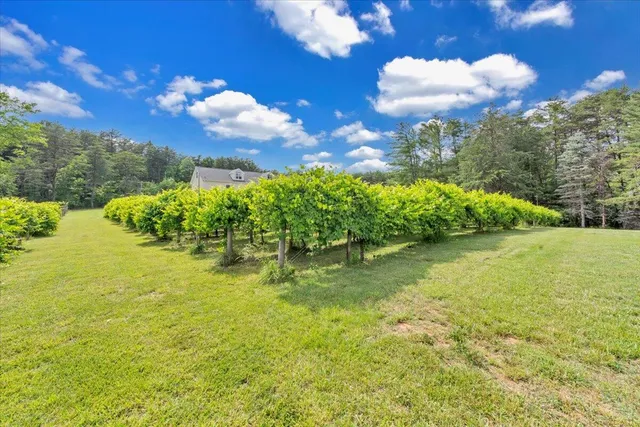 $1,075,000 | 60 Tara Drive, Ridgeway, VA 24148