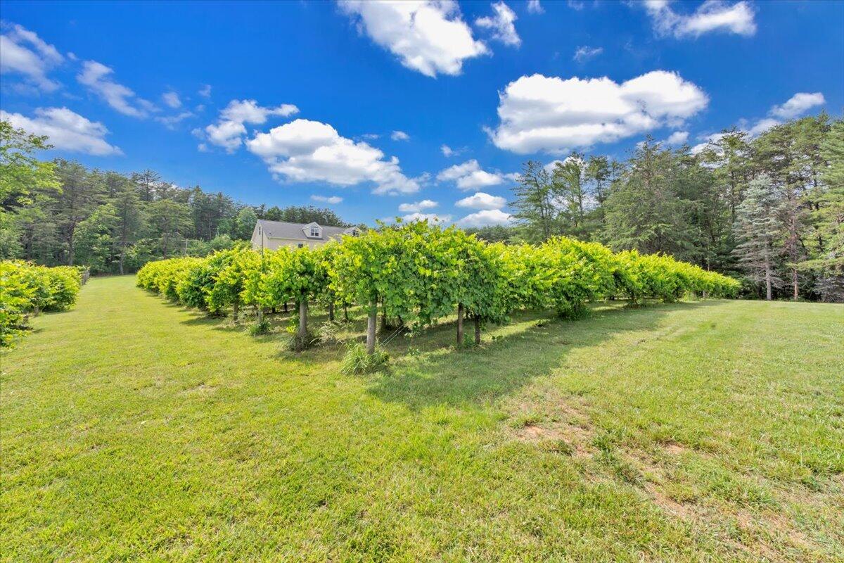 60 Tara Drive Ridgeway, VA 24148 - Photo 52 of 93 a view of a lake with a yard