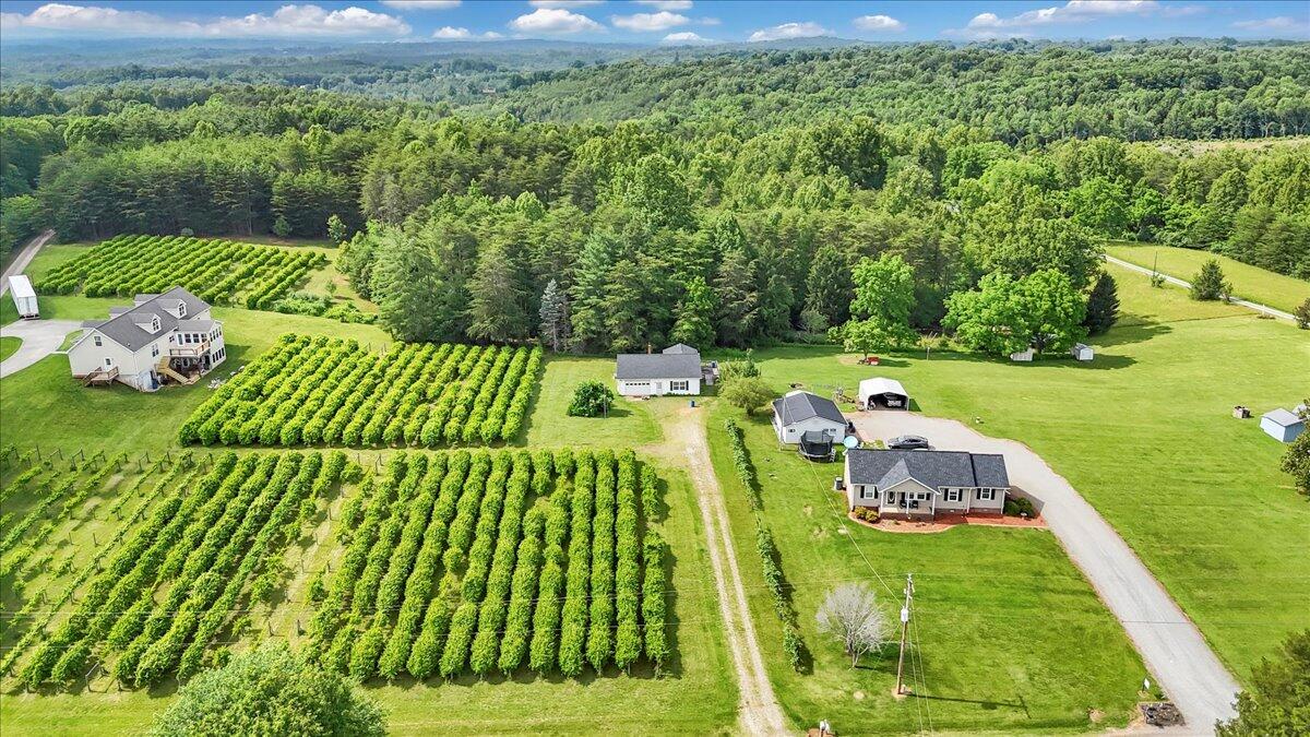 60 Tara Drive Ridgeway, VA 24148 - Photo 79 of 93 71-DJI_20250605162557_0041_D_1