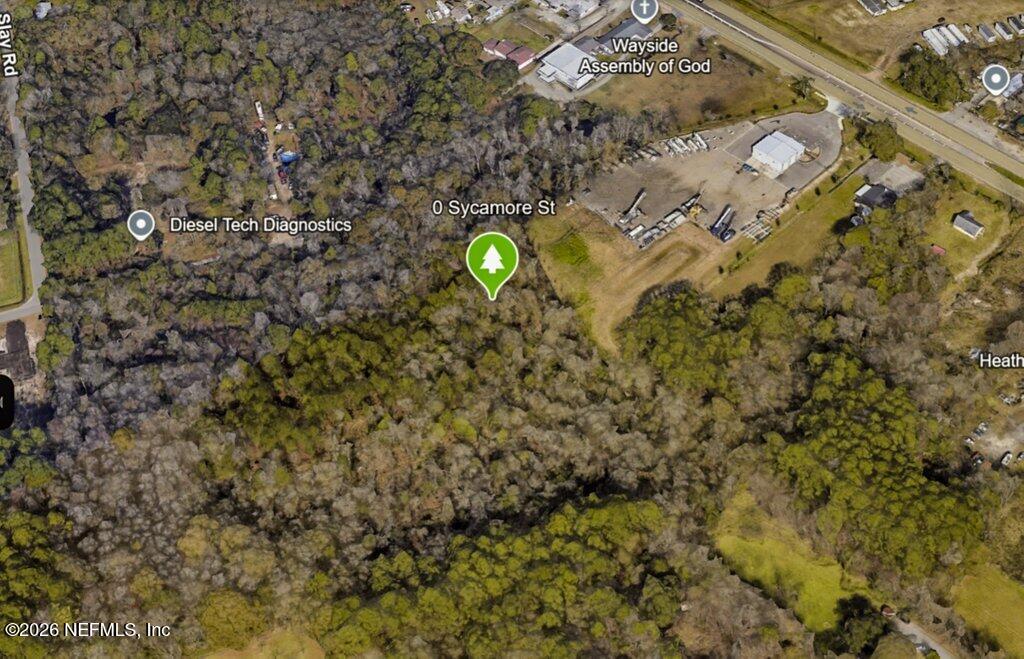 0 Sycamore Street Jacksonville, FL 32219 - Photo 18 of 21 a aerial view of a yard with a tree