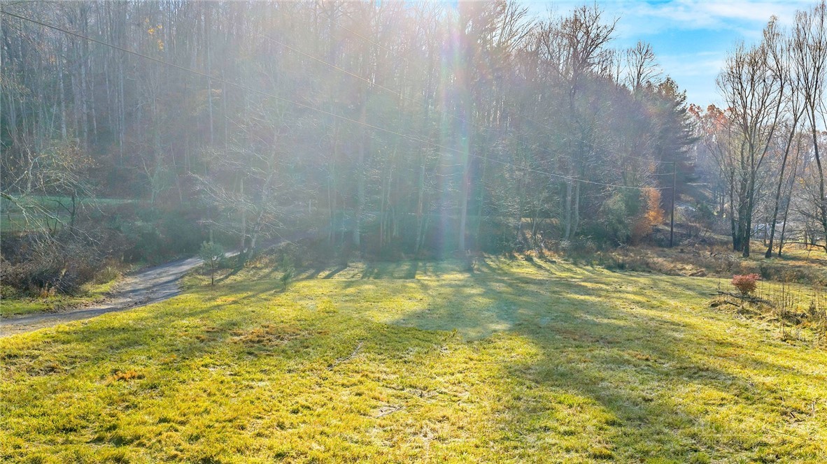1451 Elliott Road West Jefferson, NC 28694 - Photo 4 of 33