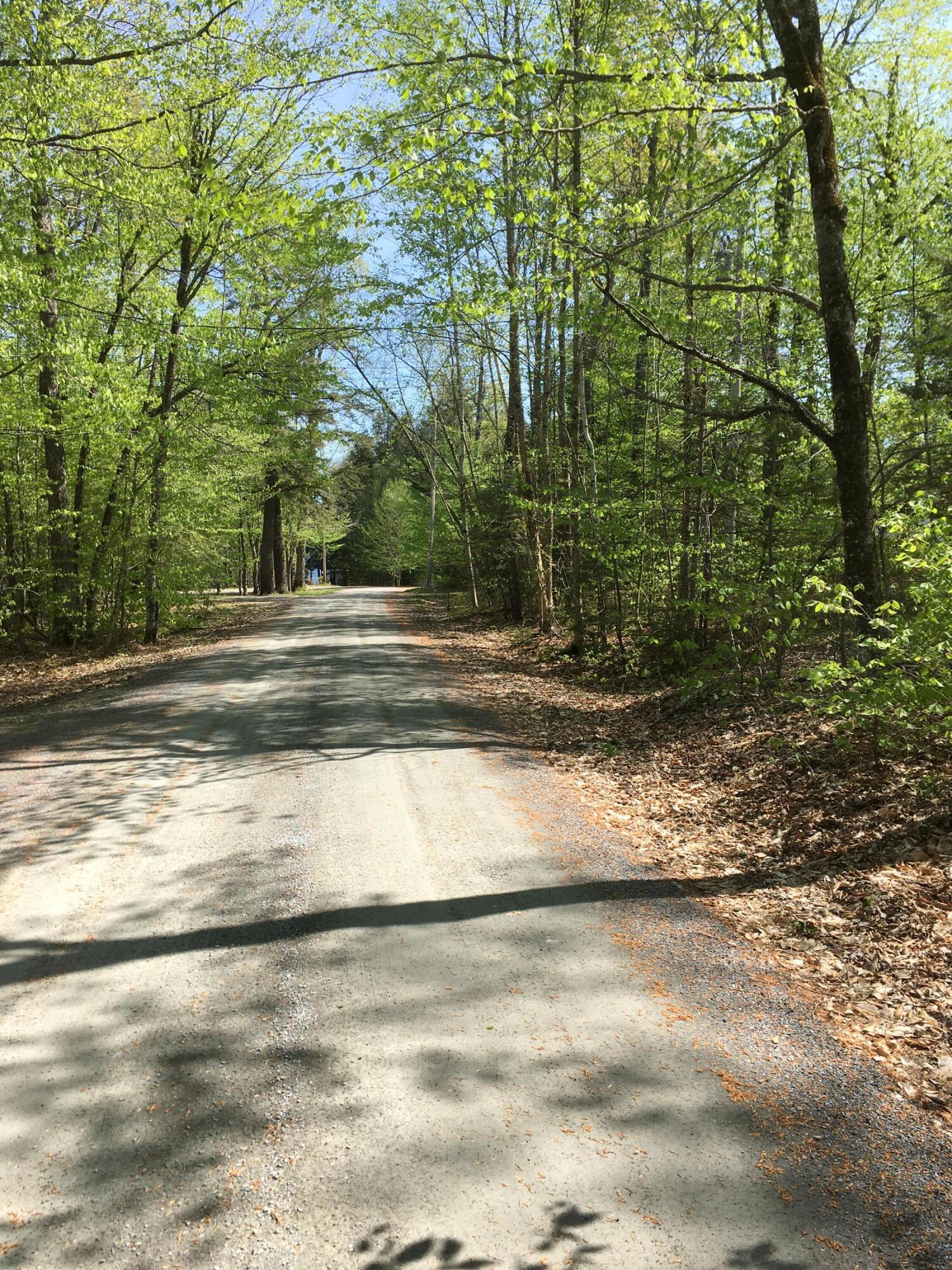 Tbd Luckman Road St. Albans, ME 04971 - Photo 2 of 9 IMG_3309