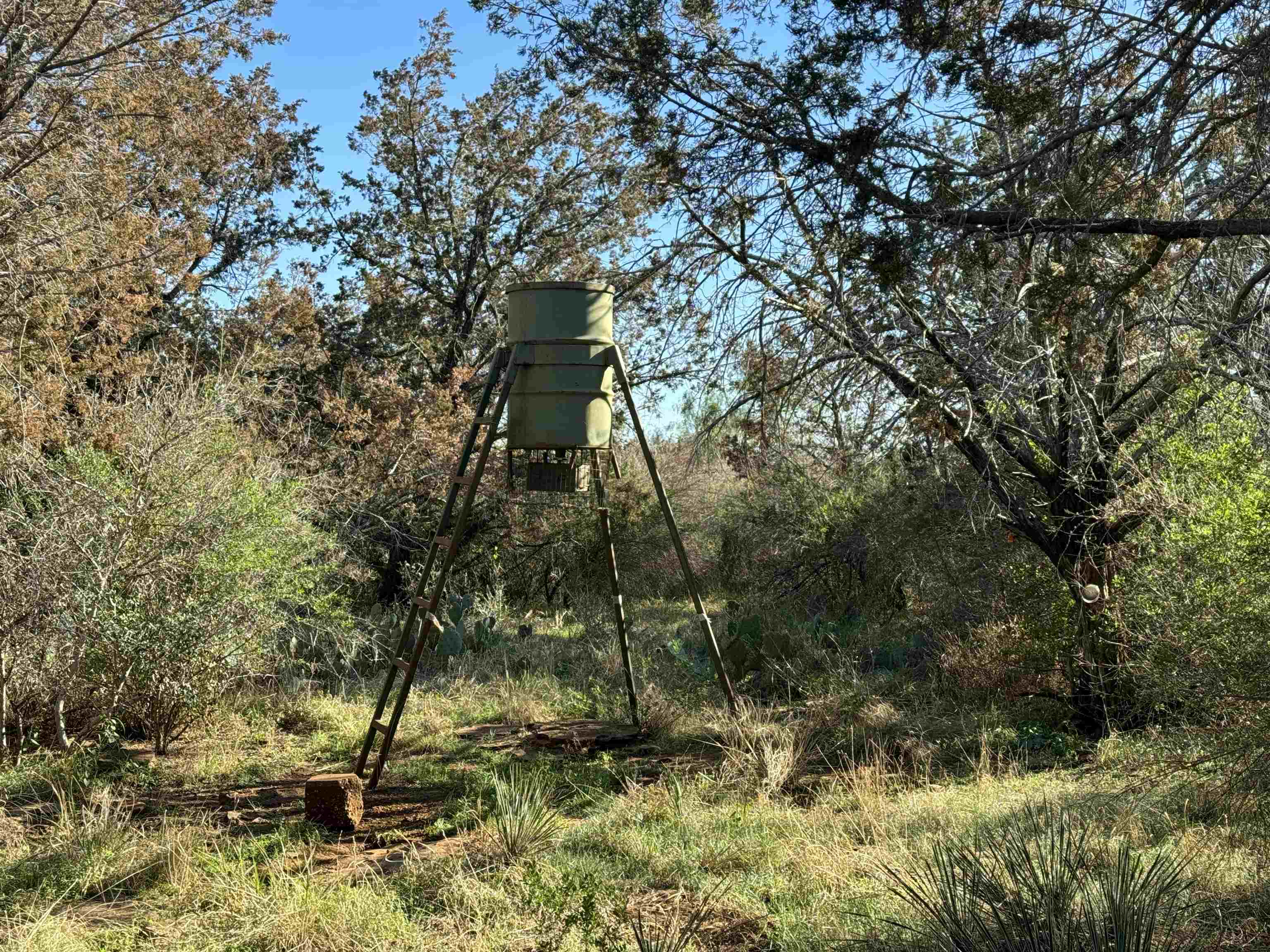 6939 Fm 690 Burnet, TX 78611 - Photo 11 of 21