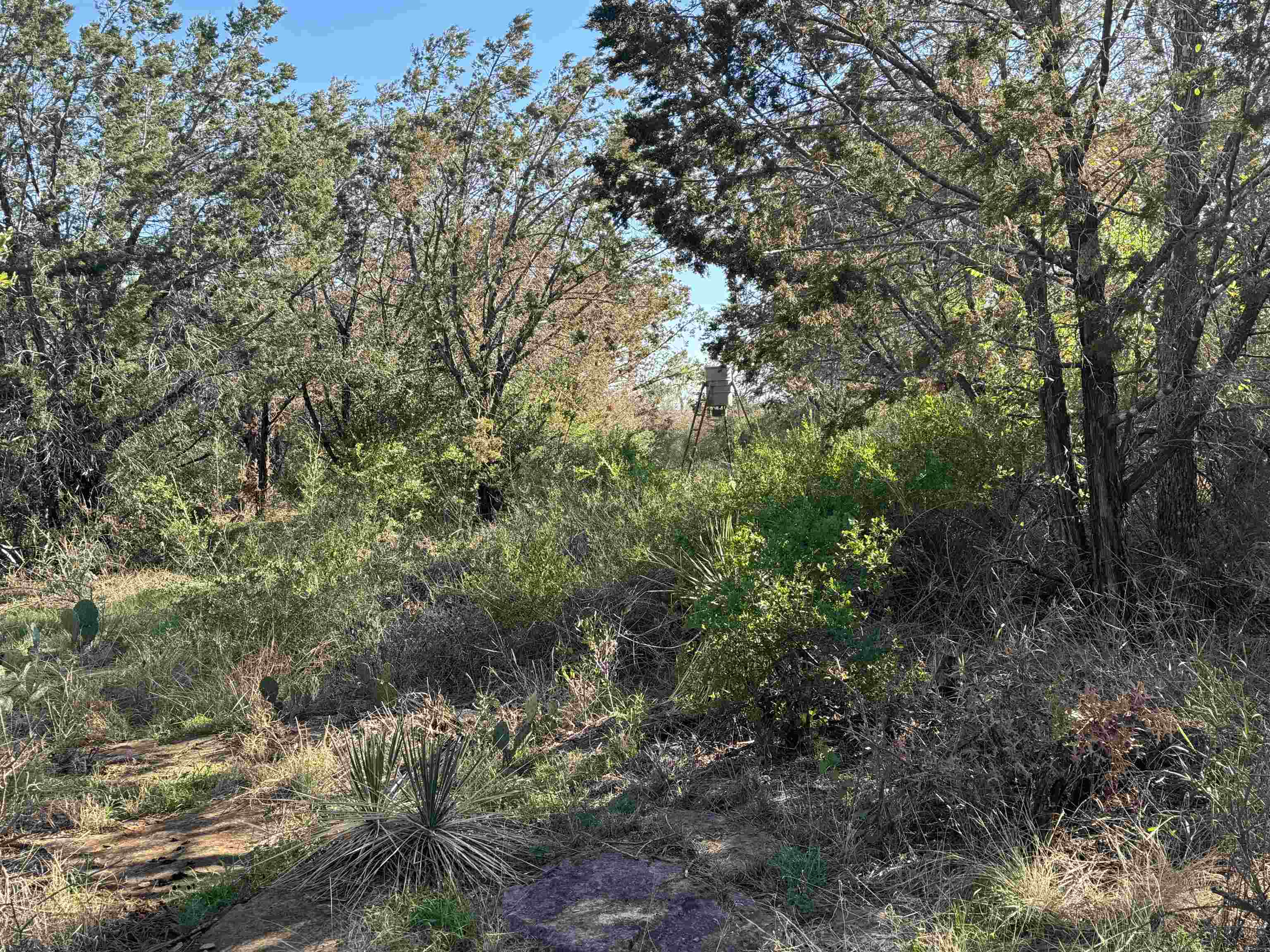 6939 Fm 690 Burnet, TX 78611 - Photo 13 of 21