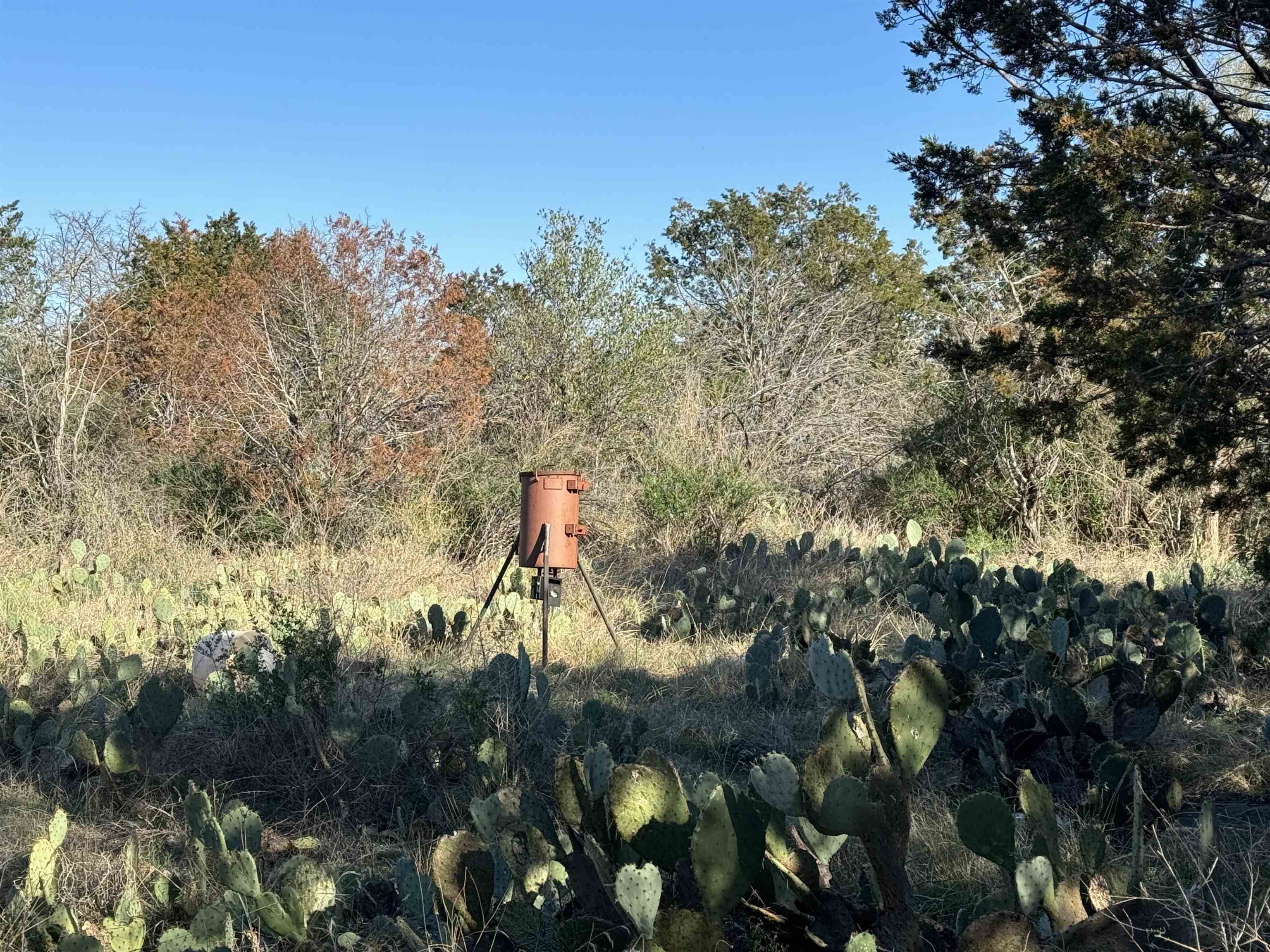 6939 Fm 690 Burnet, TX 78611 - Photo 14 of 21