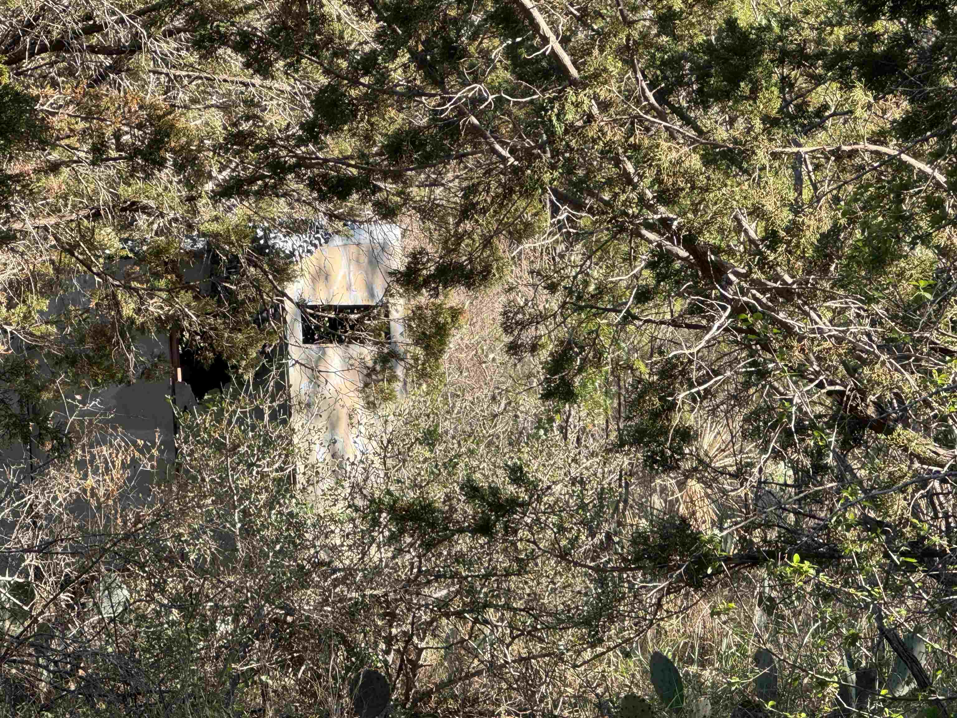 6939 Fm 690 Burnet, TX 78611 - Photo 15 of 21