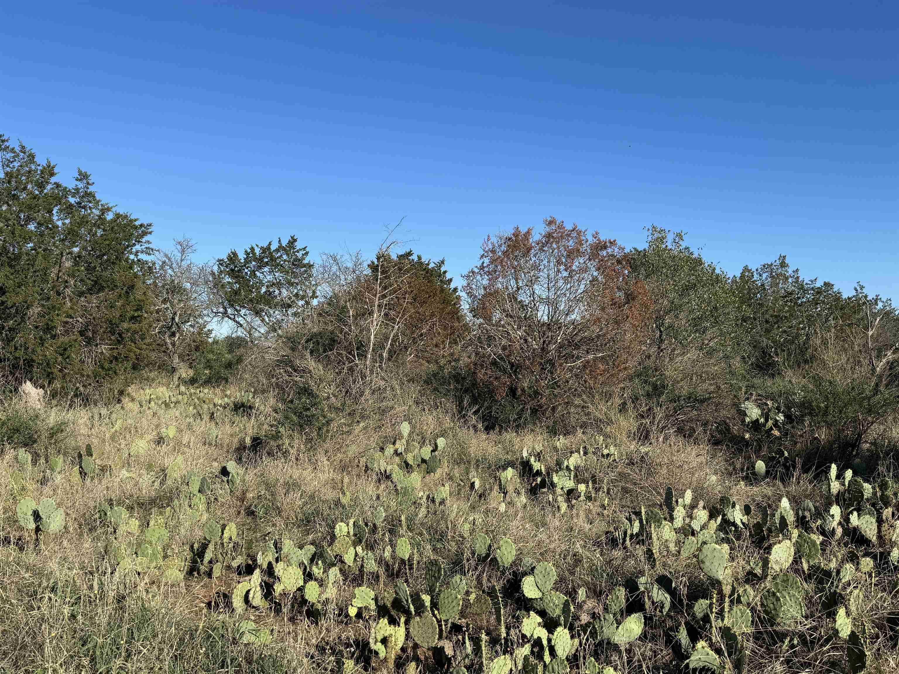 6939 Fm 690 Burnet, TX 78611 - Photo 17 of 21