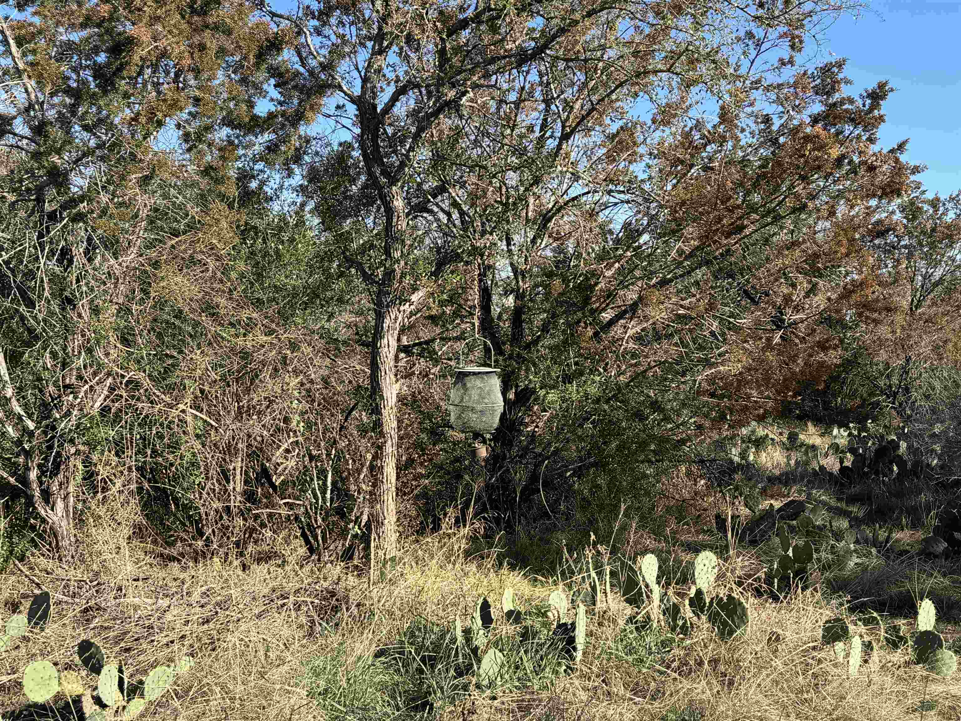 6939 Fm 690 Burnet, TX 78611 - Photo 19 of 21