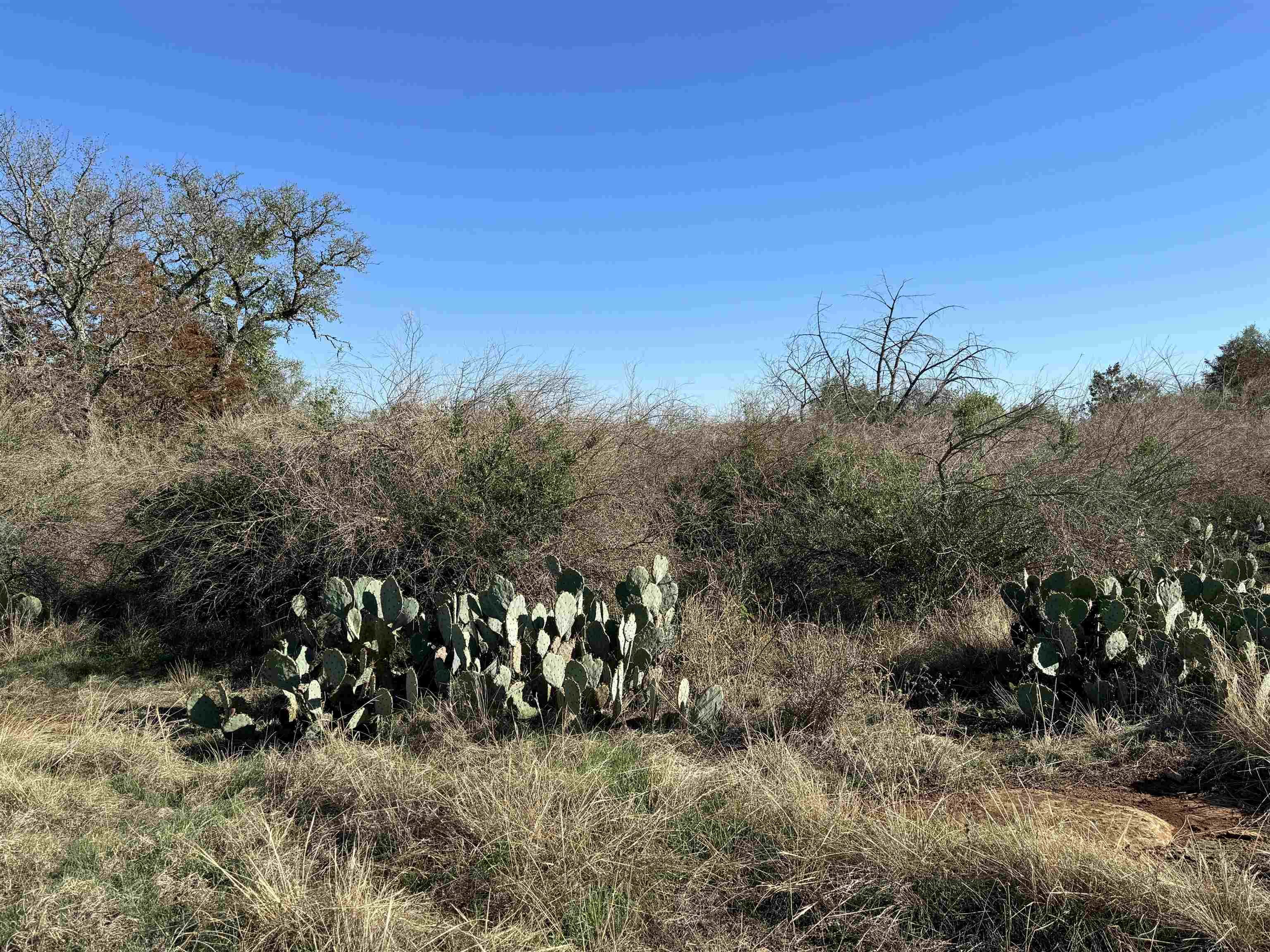 6939 Fm 690 Burnet, TX 78611 - Photo 9 of 21