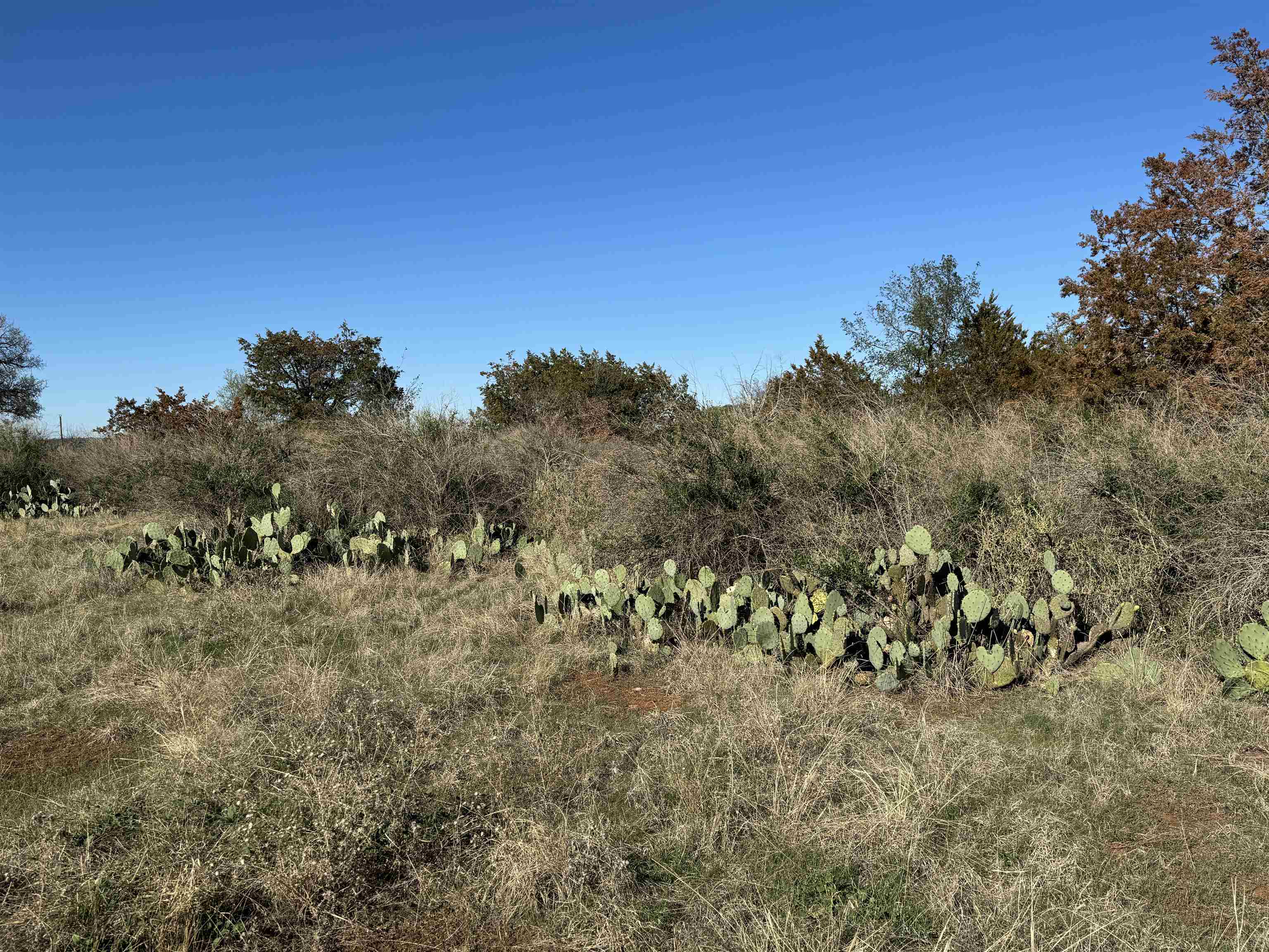 6939 Fm 690 Burnet, TX 78611 - Photo 10 of 21