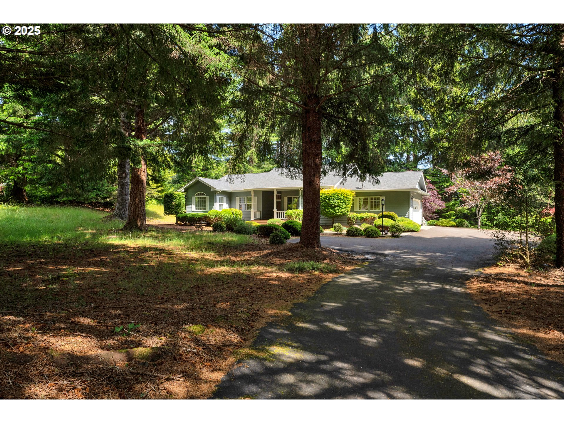 83485 Clear Lake Road Florence, OR 97439 - Photo 3 of 47 a view of street with houses