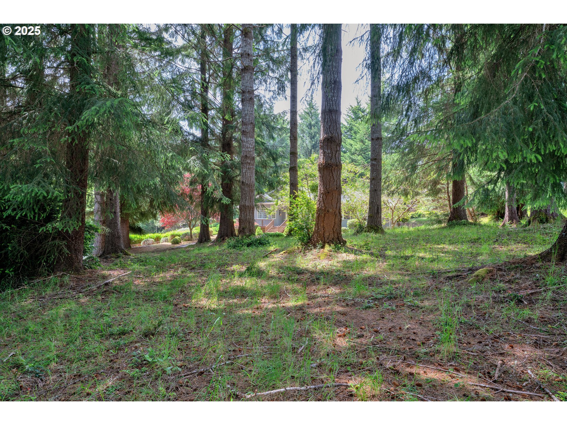 83485 Clear Lake Road Florence, OR 97439 - Photo 45 of 47 a view of outdoor space with trees