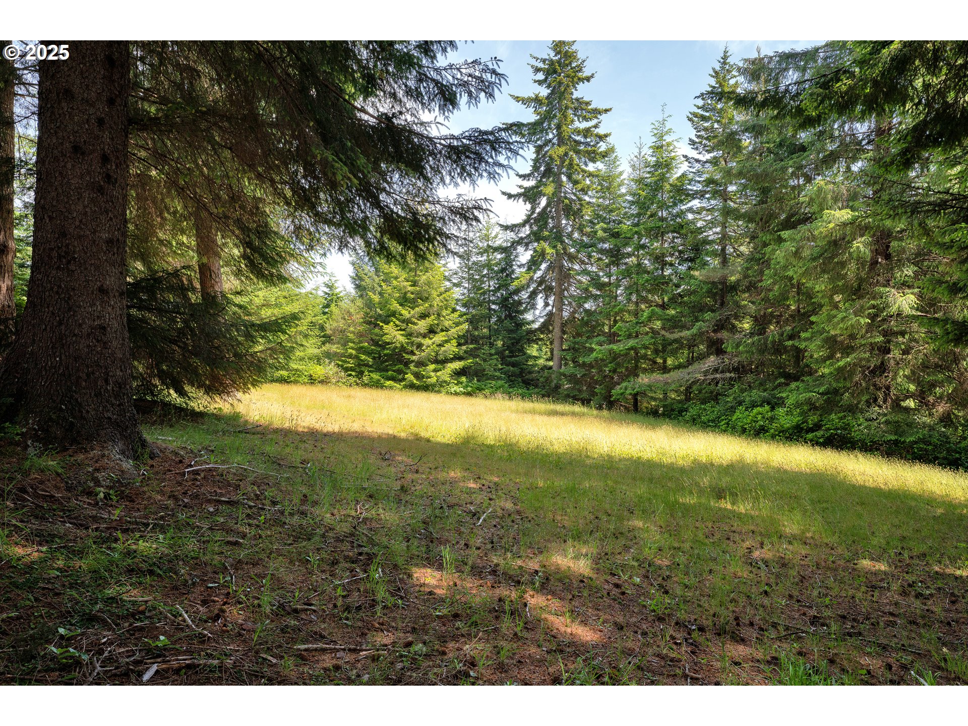 83485 Clear Lake Road Florence, OR 97439 - Photo 46 of 47 a view of outdoor space and yard