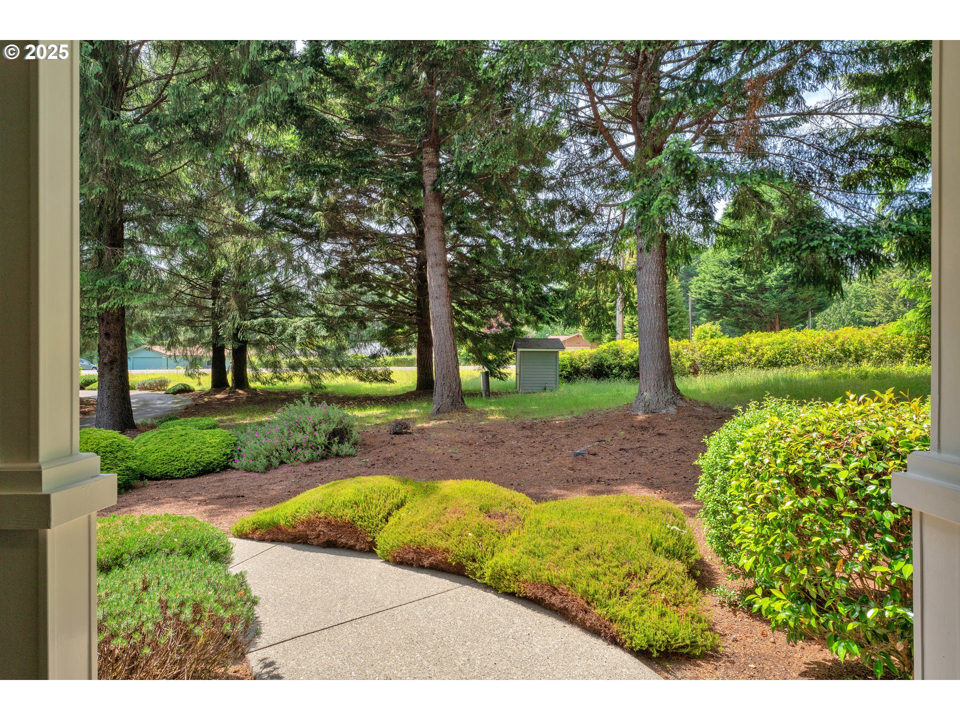 83485 Clear Lake Road Florence, OR 97439 - Photo 6 of 47 a view of a yard with plants