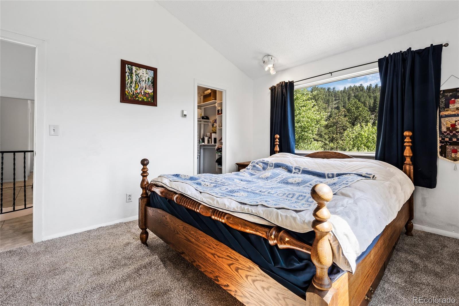 1729 Crow Valley Road Bailey, CO 80421 - Photo 30 of 49