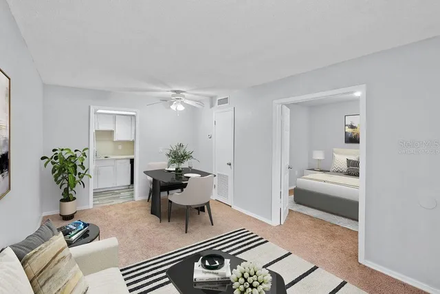 a living room with furniture and a potted plant
