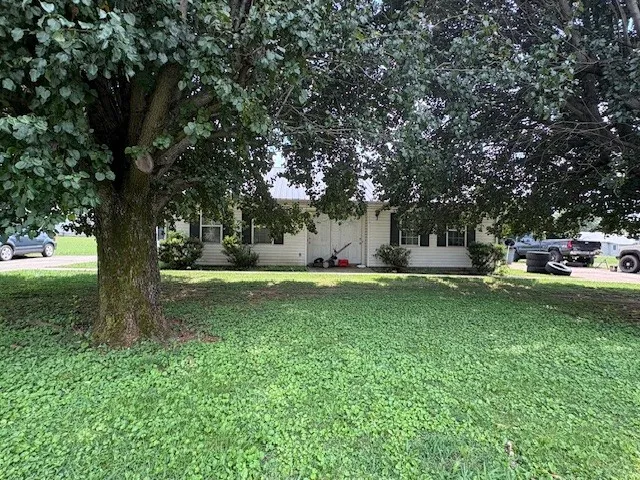 a view of a garden with trees