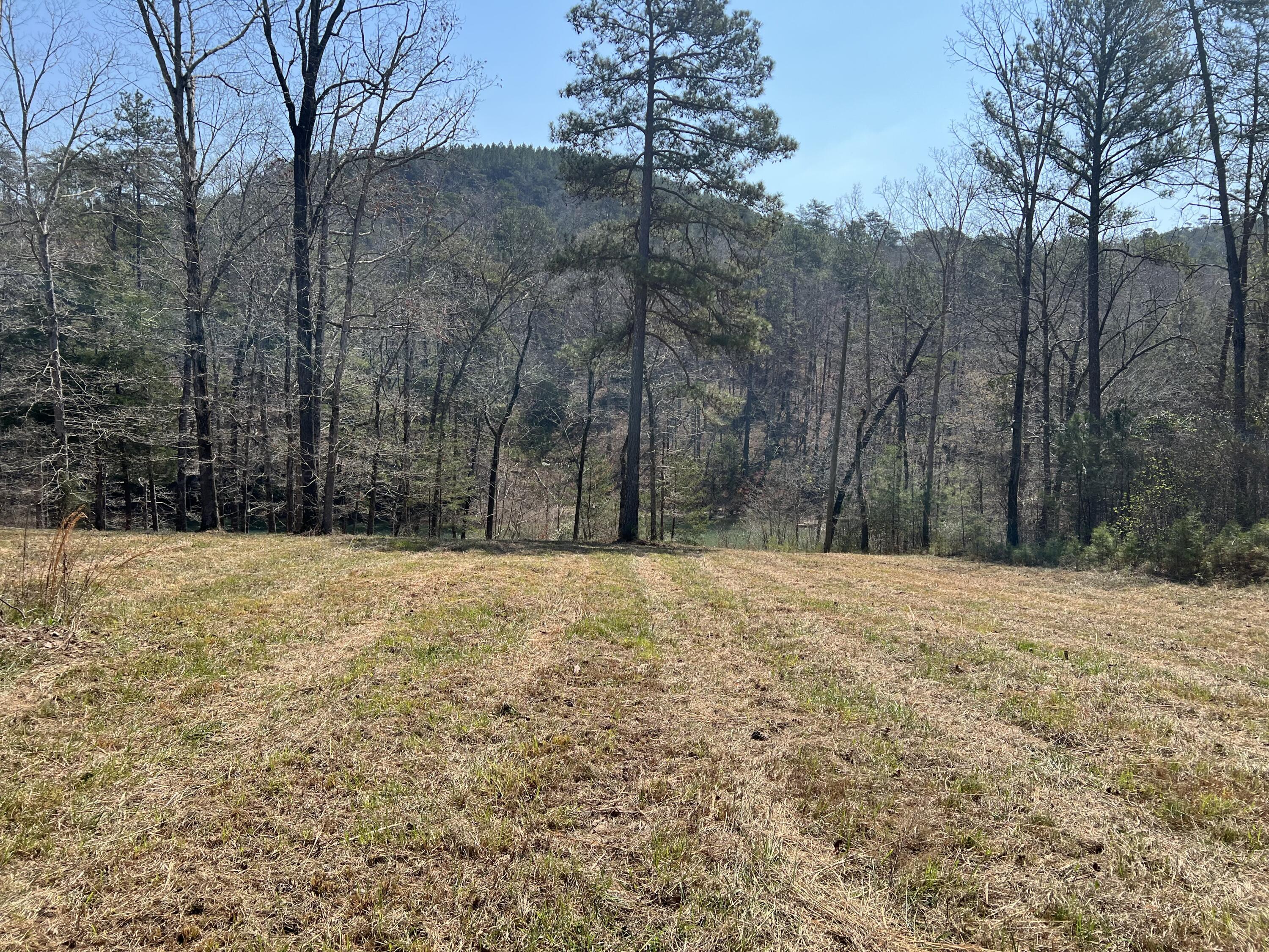 27 Long Leaf Road Lynn, AL 35575 - Photo 5 of 12 Gallery Image 5