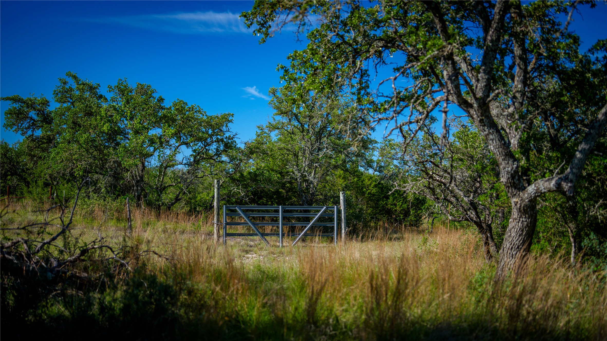 3276 Link Road Doss, TX 78618 - Photo 25 of 35 a view of a garden