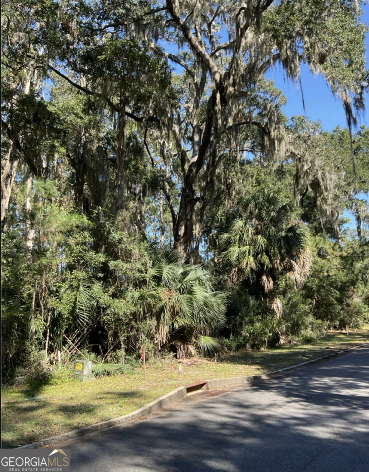 V/l 1028 Becket Road Kings Bay, GA 31558 - Photo 2 of 24