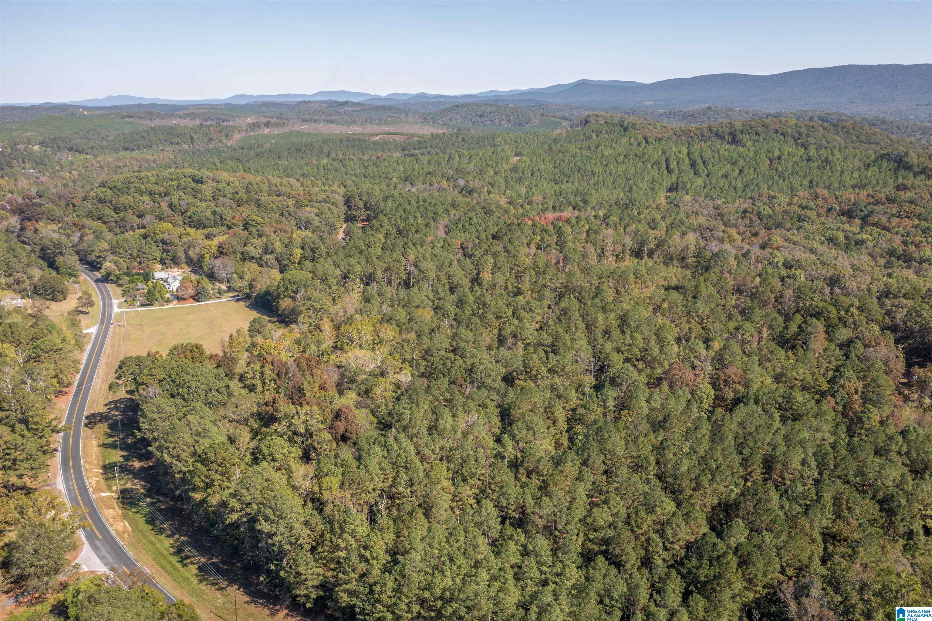 0 Roy Webb Road Jacksonville, AL 36265 - Photo 8 of 15